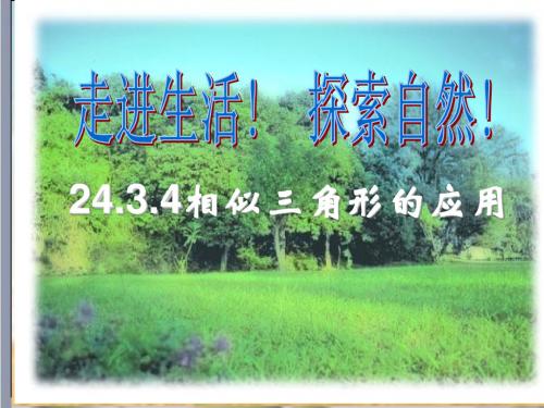 华东师大版九年级数学上册《23章 图形的相似  23.3 相似三角形  相似三角形的应用》公开课课件_26