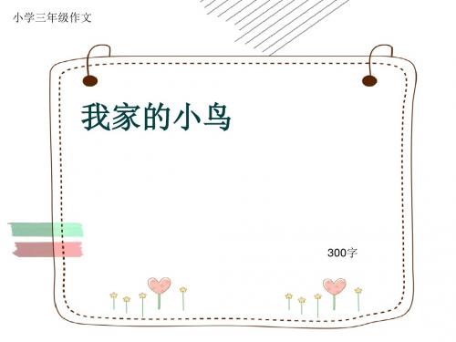 小学三年级作文《我家的小鸟》300字