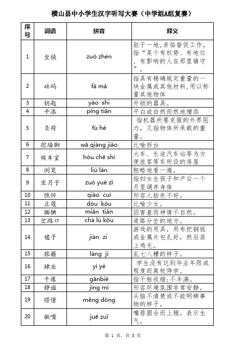 汉字听写大赛中学A组评委版