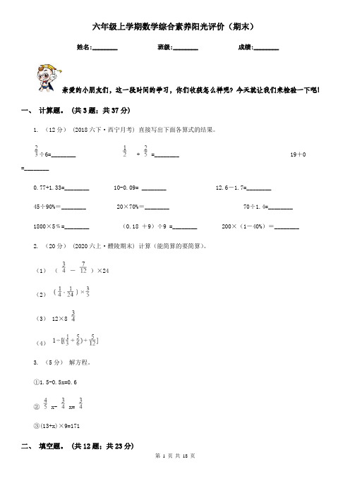 六年级上学期数学综合素养阳光评价(期末)