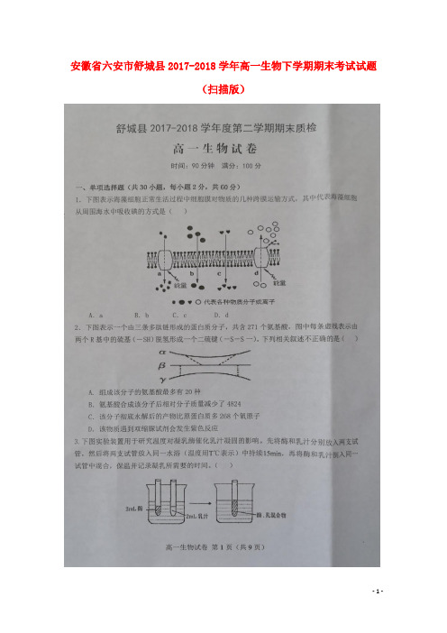 安徽省六安市舒城县2017-2018学年高一生物下学期期末考试试题 精品