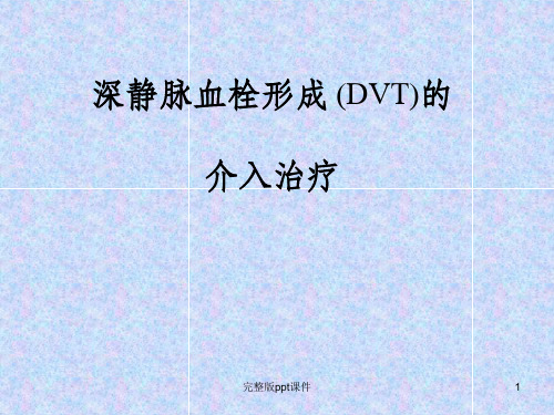 下肢深静脉血栓的介入治疗ppt课件