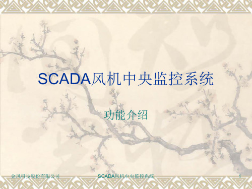 SCADA风机中央监控系统 PPT课件