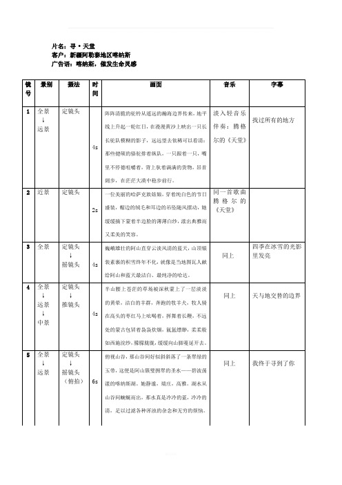 影视广告分镜头脚本模板