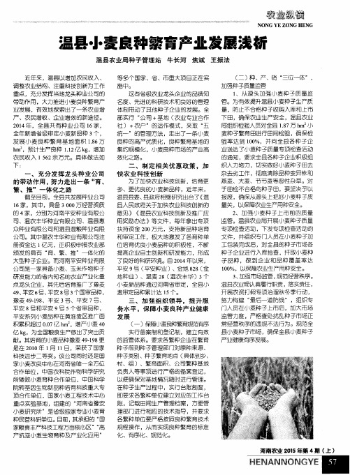 温县小麦良种繁育产业发展浅析