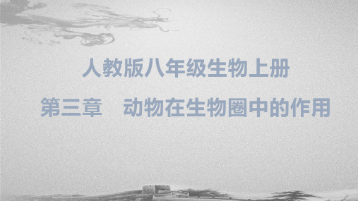 人教版八年级上册第五单元第三章 动物在生物圈中的作用课件(15张ppt)