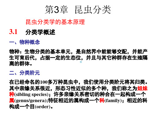 植物保护学昆虫分类