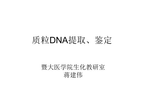 质粒DNA提取鉴定