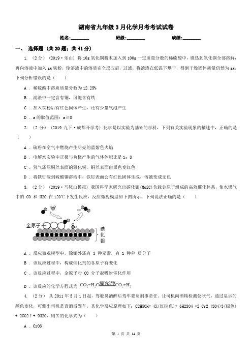 湖南省九年级3月化学月考考试试卷