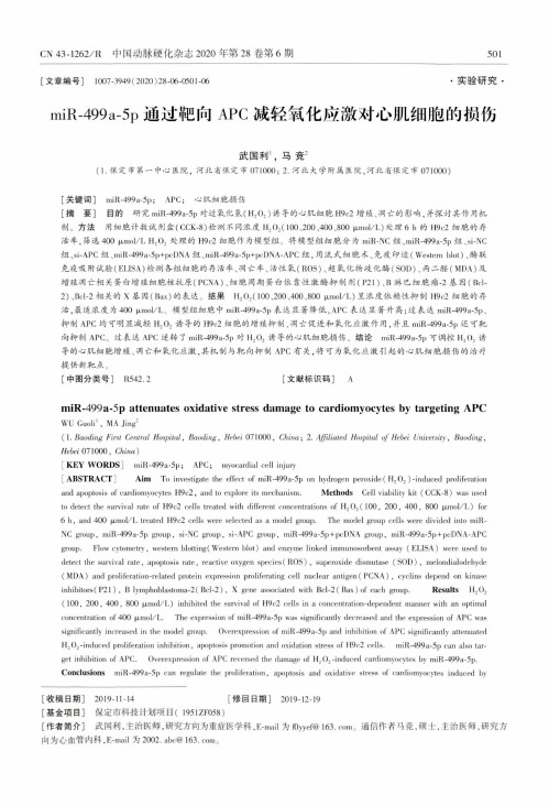 miR-499a-5p通过靶向APC减轻氧化应激对心肌细胞的损伤