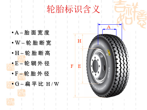 轮胎力学特性