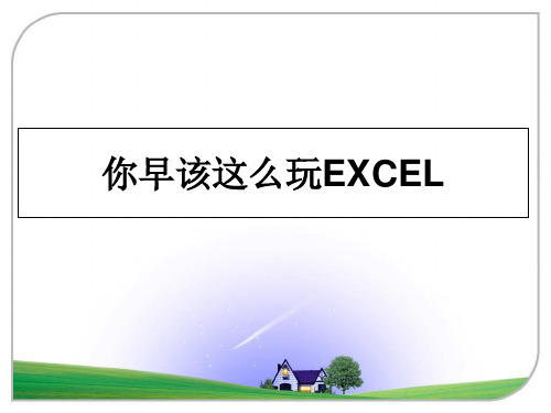 最新你早该这么玩EXCELPPT课件