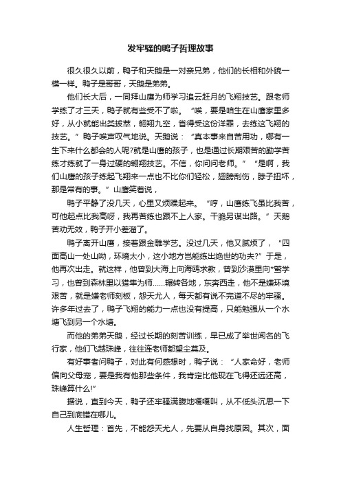 发牢骚的鸭子哲理故事