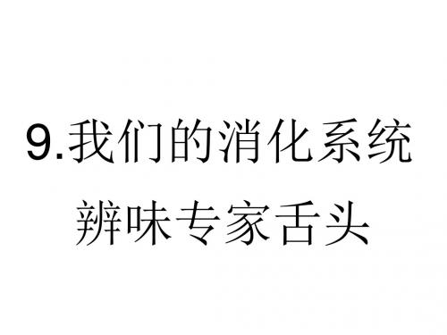 我们的消化系统-健康教育课件-PPT文档资料