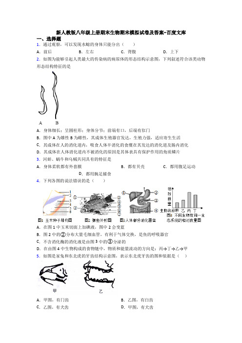 新人教版八年级上册期末生物期末模拟试卷及答案-百度文库