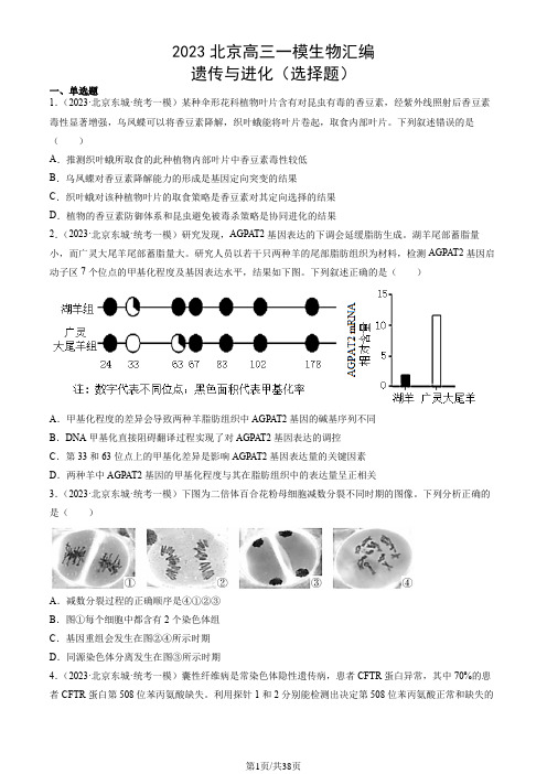 2023北京高三一模生物汇编：遗传与进化(选择题)