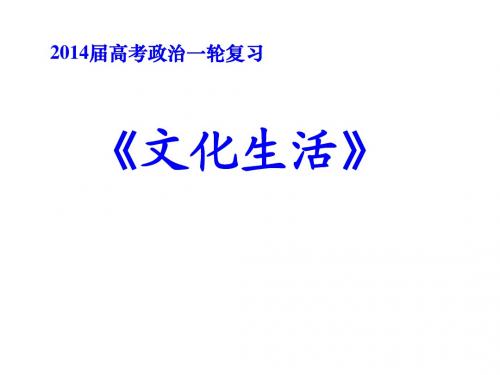 2014届高考政治文化生活一轮复习第一课文化与社会