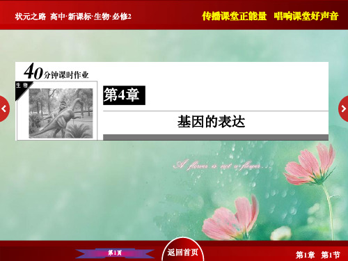 《状元之路》2019高一生物人教版必修2课件:4-1《基因指导蛋白质的合成》