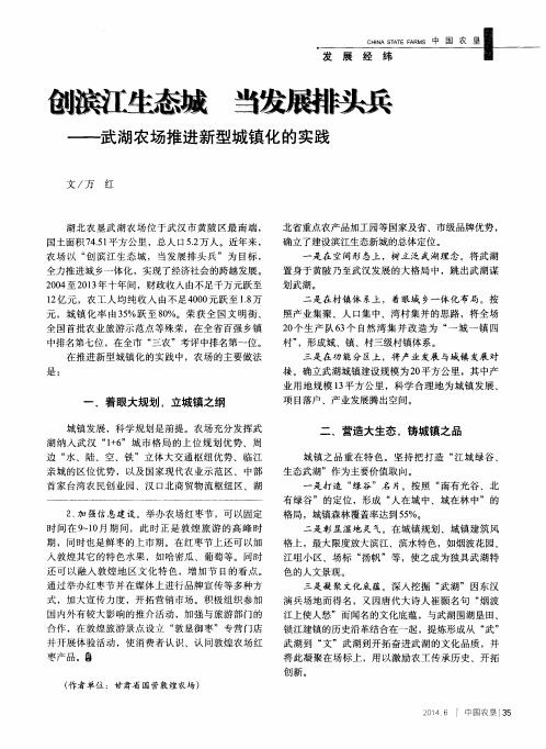 创滨江生态城 当发展排头兵——武湖农场推进新型城镇化的实践