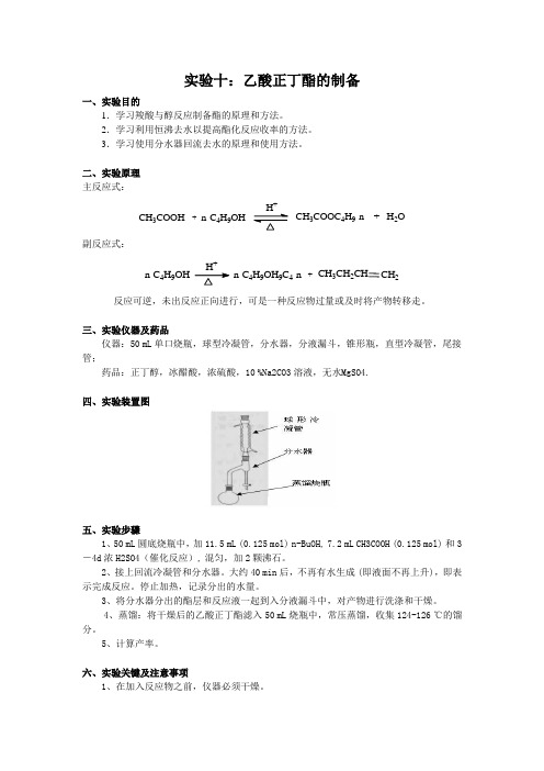 乙酸正丁酯的制备