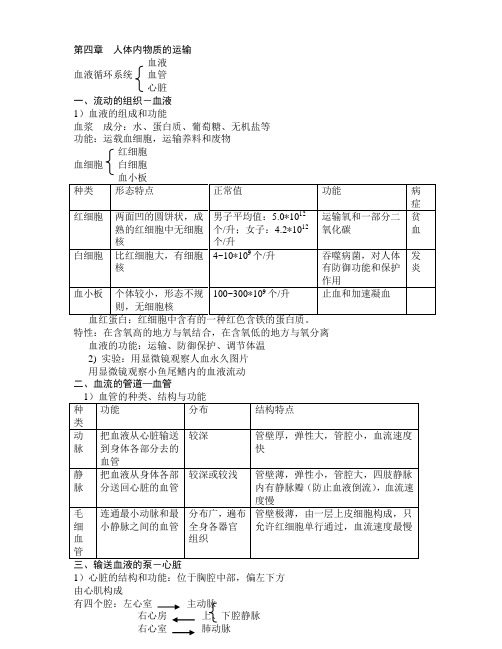 初中生物复习提纲(七下期末)