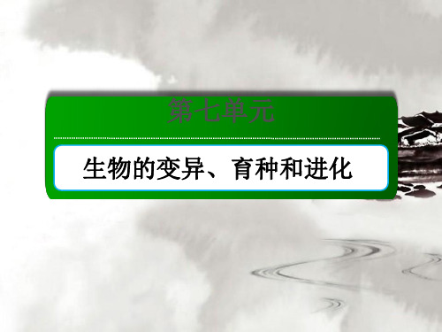 新高考生物一轮复习课件第23讲现代生物进化理论2