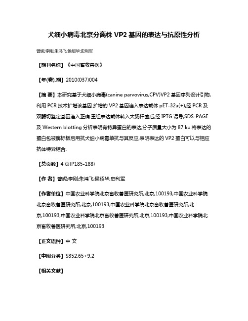 犬细小病毒北京分离株VP2基因的表达与抗原性分析