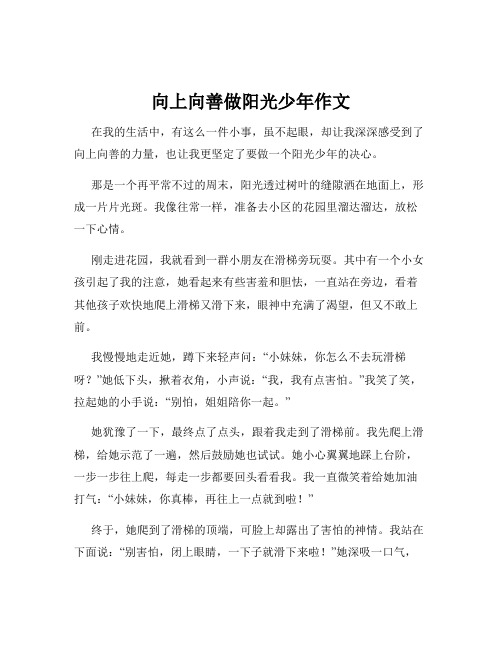 向上向善做阳光少年作文