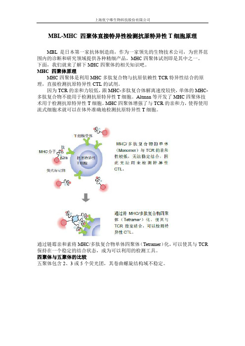 MBL-MHC 四聚体直接特异性检测抗原特异性T细胞原理