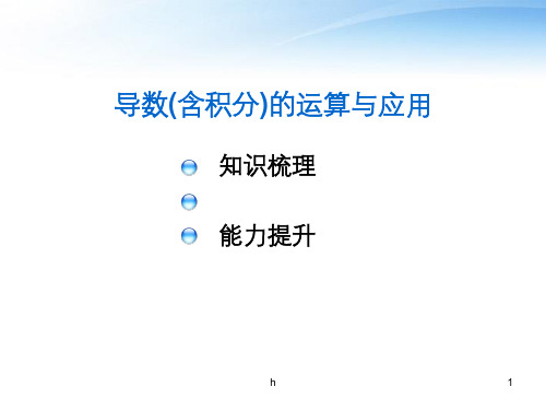 高考数学 导数(含定积分)运算及其应用专题课件 北师大版