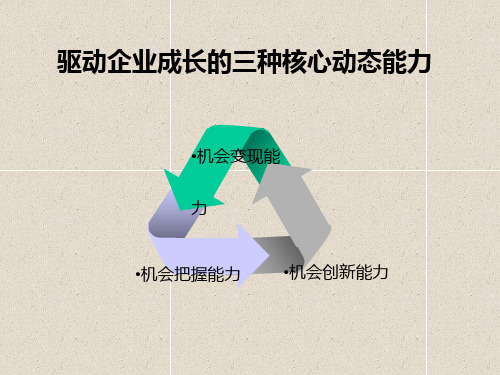 驱动企业成长的三种核心动态能力(PPT 47页)