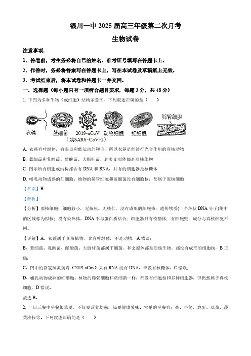 高三生物试题与解析-2025届银川一中高三第二次月考+生物答案