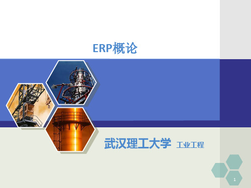 《ERP概论》PPT课件