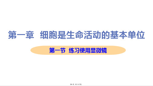 新人教版七年级上册初中生物 课件 第一节 练习使用显微镜 教学课件