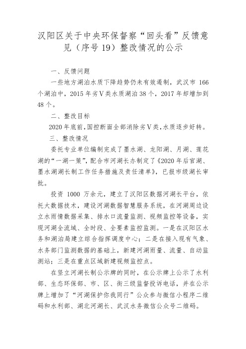 汉阳区关于中央环保督察回头看反馈意见(序号19)整改