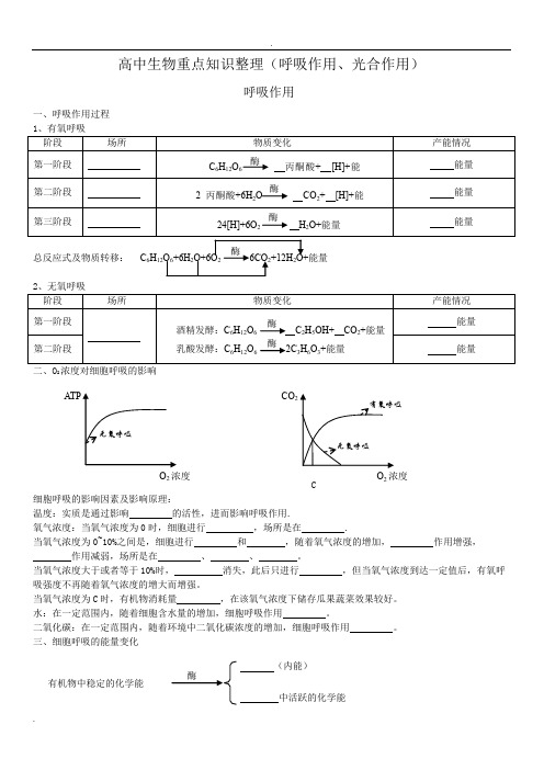 高考生物一轮复习重点知识整理(光合作用、呼吸作用)