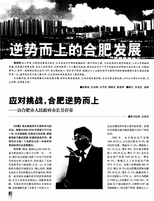 逆势而上的合肥发展：应对挑战,合肥逆势而上——访合肥市人民政府市长吴存荣