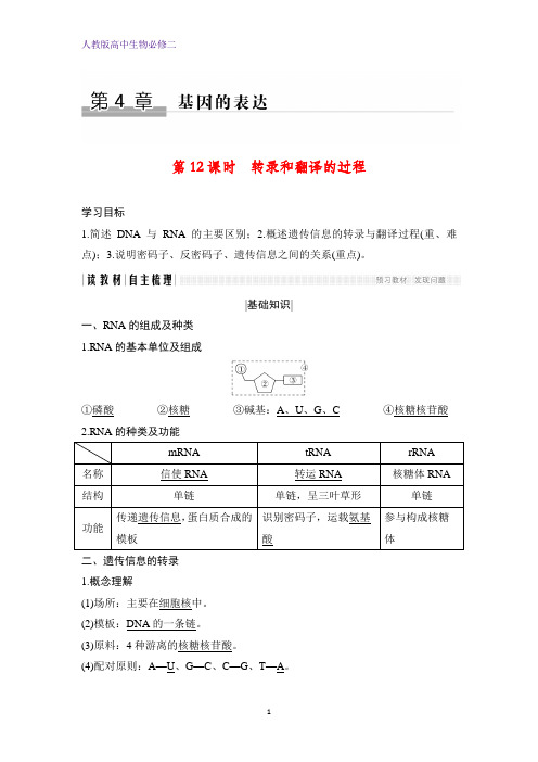 高中生物必修2精品学案：4.1.1 转录和翻译的过程