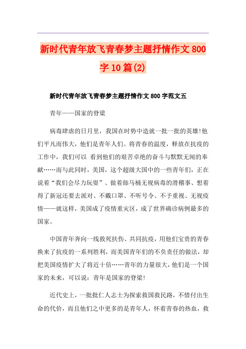 新时代青年放飞青春梦主题抒情作文800字10篇