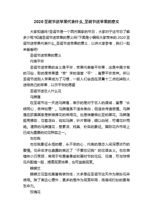 2020圣诞节送苹果代表什么_圣诞节送苹果的意义