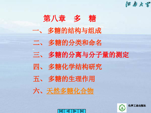 第9章 多糖PPT课件