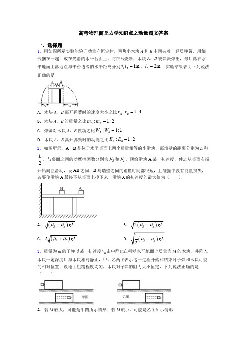 高考物理商丘力学知识点之动量图文答案