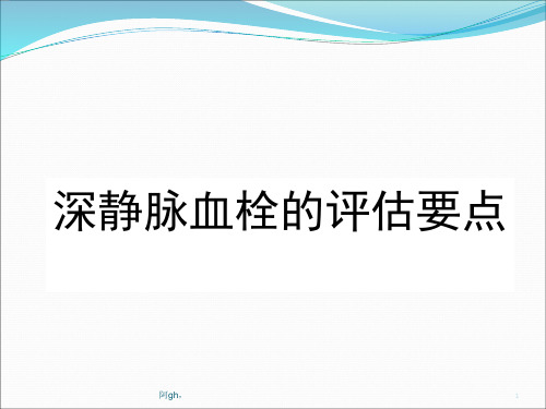 深静脉血栓的评估要点分析.ppt