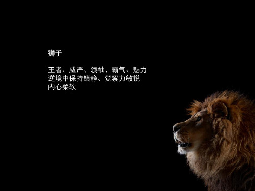 各种动物性格