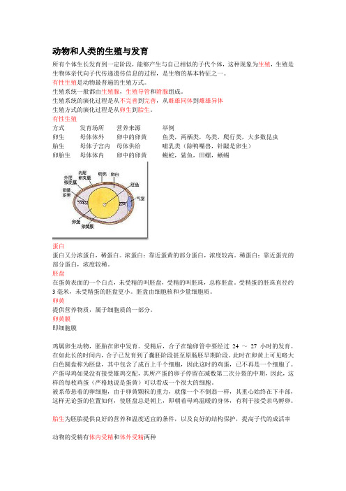 动物和人类的生殖与发育