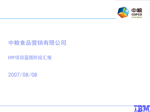 某食品营销有限公司ERP项目蓝图阶段汇报(PPT 60页)