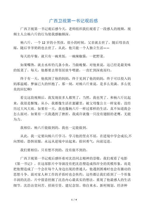 广西卫视第一书记观后感