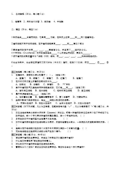 植物生物学__四川大学(5)--模拟试卷(四)