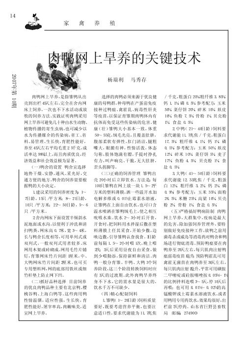 肉鸭网上旱养的关键技术