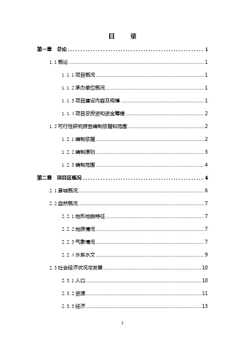 某某某治理矿渣废水及矿渣综合利用项目可行性研究报告